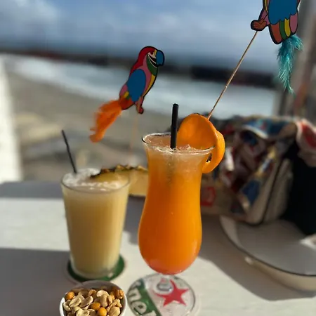 Cumana 511 Puerto Rico (Gran Canaria)